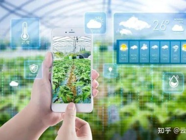 科技赋能农业，技术咨询助力乡村振兴战略实施