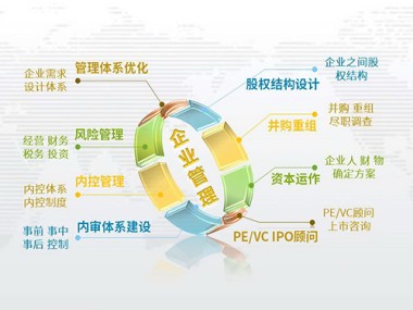 优化技术咨询费用，强化企业核心竞争力策略