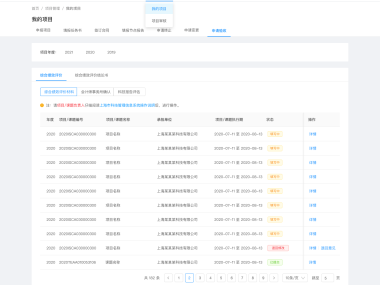 2024年度技术咨询费申报指南,全面流程解析与常见问题解答