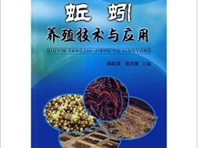 蚯蚓养殖技术咨询热线，共筑环保养殖新篇章