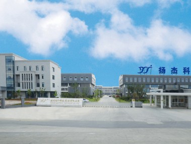 扬州科技赋能，引领企业迈向技术前沿