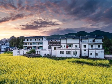 农业技术咨询助力重庆乡村振兴战略实施