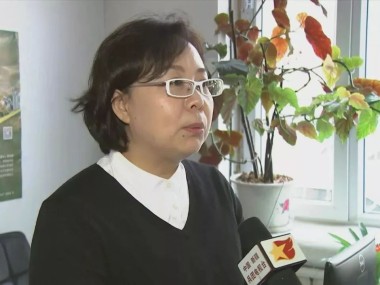 石河子，红利技术咨询引领企业飞跃发展新篇章