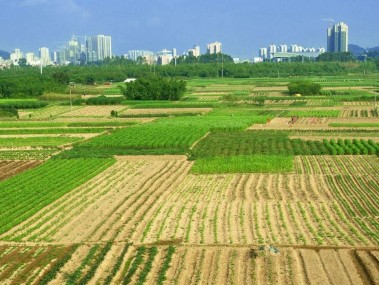 助力企业腾飞，土地技术咨询引领资源革新之路