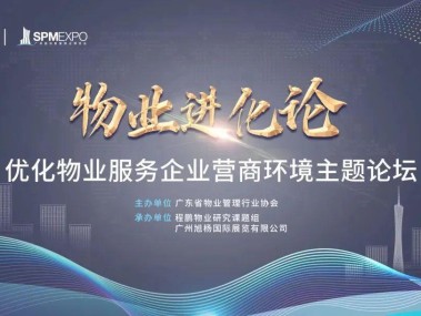 安徽模型技术咨询市场深度解析,趋势洞察与未来机遇
