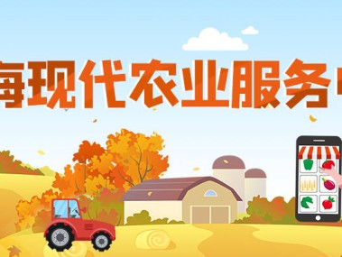 粗粮技术咨询赋能农业，共促健康生活新篇章