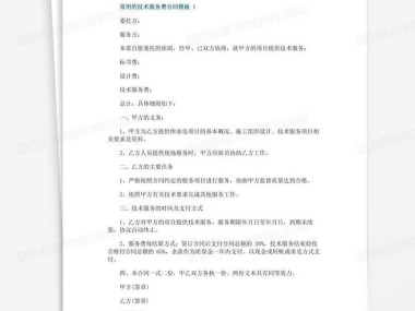 保障双方权益的简易技术咨询费合作协议