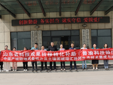 山东助力企业转型升级，技术咨询广受推广