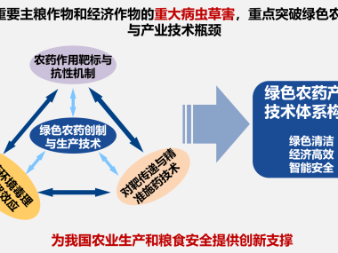 横向课题在技术咨询领域的关键作用和价值分析