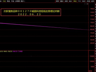 益昌A股技术咨询深度解读，投资者市场脉搏的导航器