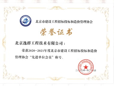 北京技术咨询，揭秘影响因素与明智选择之道
