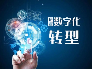 数字化转型的企业加速器，IT技术咨询的神秘力量