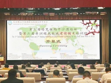 泰禾环保咨询，推动绿色建设，创新环保产业未来