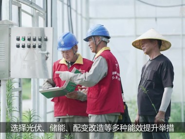 Greeplum技术咨询公司，赋能企业数字化转型，领跑行业潮流