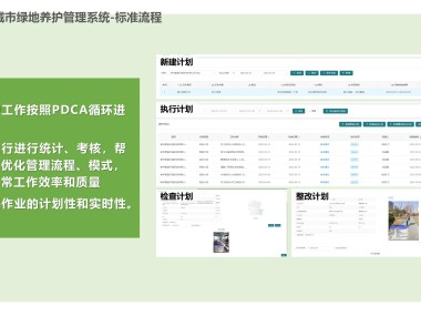项目实施策略深度解析与优化建议方案技术咨询报告