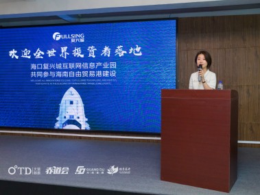 海南助力企业创新发展，技术咨询推广概览