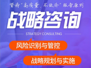 技术咨询服务行业,领军者与新星的崛起之路
