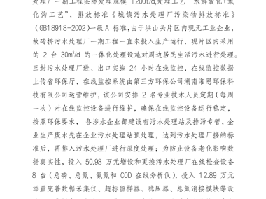 环保技术咨询项目总结与成效分析报告