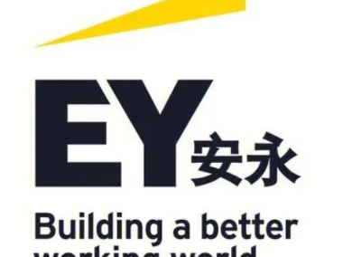 安永咨询,推动企业数字化变革,共筑未来蓝图