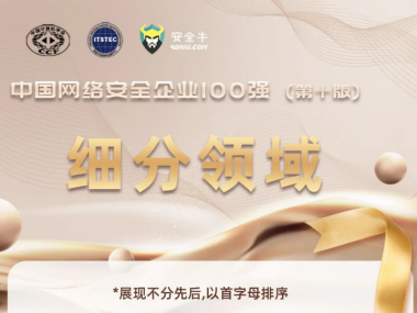 揭秘电脑安全技术咨询领军企业，行业佼佼者哪家强？