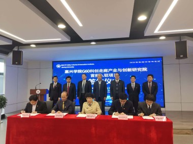 嘉兴，科技创新沃土，专业咨询优选之地