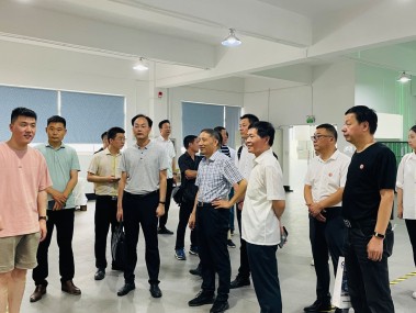 常州技术咨询价格解析,性价比与品质共融之道