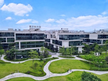 重庆上门技术咨询，服务特色、优势解析及行业应用全览