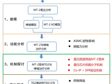 企业技术咨询报告编制指南，打造专业报告的实用模板