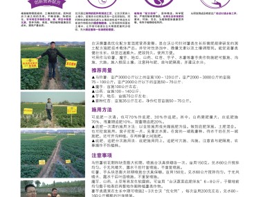 腾沃农业,科技领航,助力现代农业腾飞