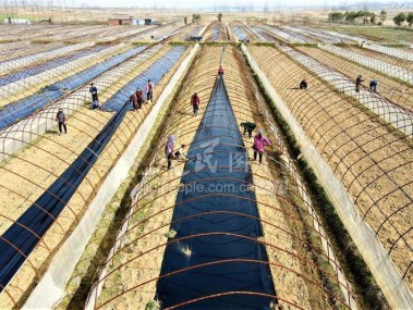 肥东技术咨询全方位解读,助力企业腾飞新篇章