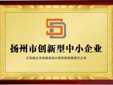 扬州技术先锋，助力企业转型，领航科技创新浪潮