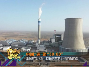 助力企业绿色升级，节能技术咨询共创可持续未来之路