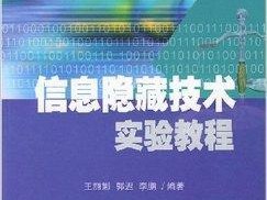 揭秘技术咨询精华，一本不容错过的实操指南