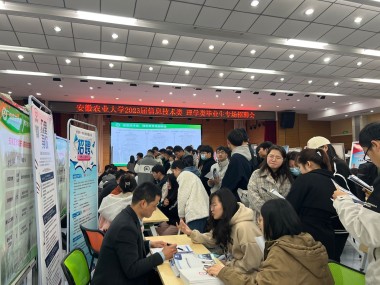 肥东企业广纳专业技术人才，共筑发展新篇章
