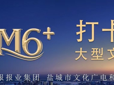 盐城企业数字化升级,网络营销技术助力转型新篇章
