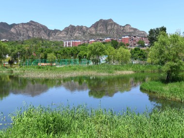 绿色赋能，北京生态技术咨询助力生态文明建设新篇章