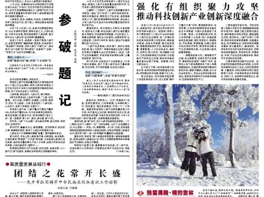 吉林技术创新指南,规范助力,科技驱动企业腾飞