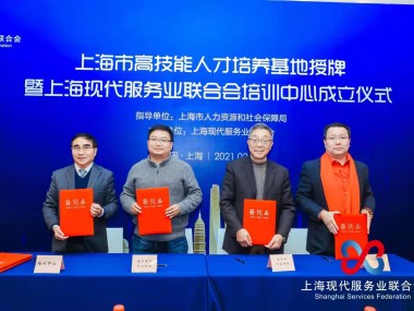 上海企业腾飞,技术咨询服务引领发展新篇章