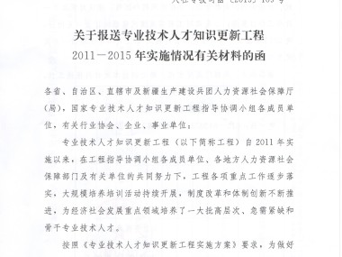 技术咨询回复函撰写指南与范例深度解析