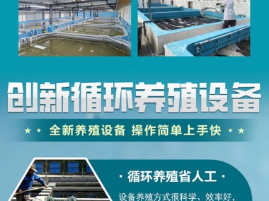 提升对虾养殖效益，技术咨询助力产量与品质双丰收