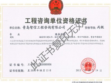 技术咨询单位投标资格全解析,资格审核与标准解读