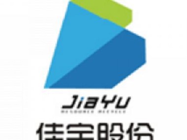 佳宇安全技术咨询公司，网络安全守护者，助力国家信息安全防线