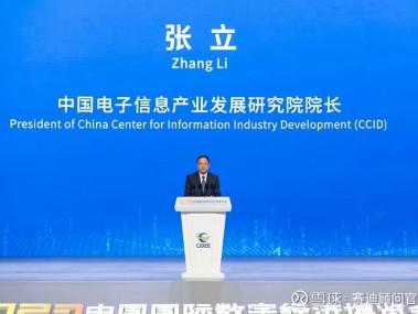 赛鲁咨询，驱动企业数字化飞跃，助力腾飞新篇章