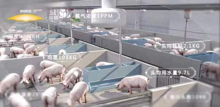 猪事邦技术咨询室，智慧养殖科技引领者,在科技浪潮的推动下，农业领域迎来了革命性的变革，猪事邦技术咨询室，作为我国农业科技发展的先锋力量，以其领先的技术和专业的咨询服务，为我国养殖业带来了新的生机与活力，本文将带您深入探索猪事邦技术咨询室的奥秘，一睹其风采。,猪事邦技术咨询室,技术咨询,第1张