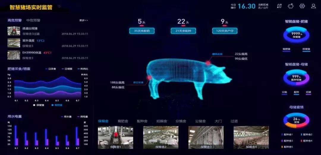 技术咨询推动养殖业转型升级新篇章,随着我国经济的蓬勃增长，养殖业在国民经济中的地位愈发显著，在养殖过程中，养殖户们面临诸多挑战，诸如疫病防控、饲料营养、养殖环境等问题，为了提升养殖效益，降低养殖风险，养殖技术咨询应运而生，本文将围绕养殖技术咨询展开论述，探讨其在养殖业转型升级过程中的关键作用。,养殖技术咨询,技术咨询,第1张