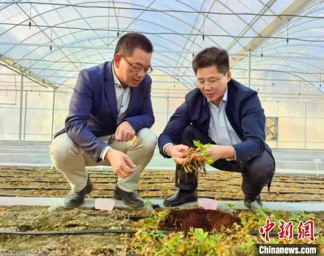 福建农业现代化发展助力，农业技术咨询解析新篇章,福建农业技术咨询价格,技术咨询,技术咨询服务,农业技术咨询,第1张