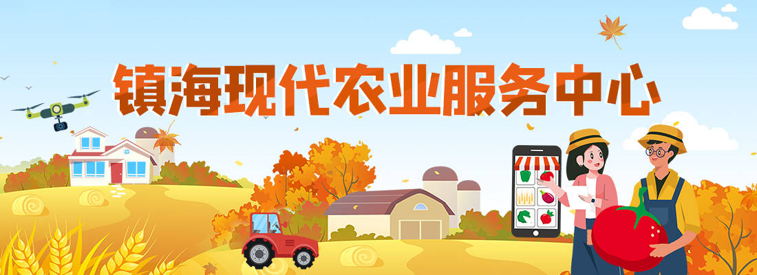 粗粮技术咨询赋能农业，共促健康生活新篇章,粗粮技术咨询客服,技术咨询,第1张