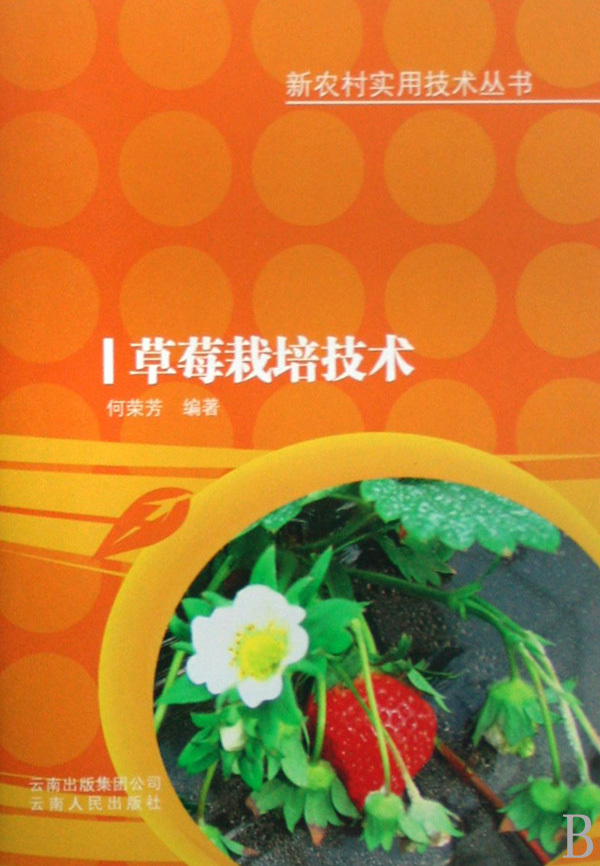 冬季草莓种植技术攻略，破解难题，推动农业产业升级,随着我国农业现代化步伐的稳步前行，草莓产业在我国呈现出蓬勃发展的态势，冬季草莓种植，作为一项技术难题，一直牵动着众多草莓种植者的心，为了攻克这一难题，提升草莓的产量与品质，本文将深入探讨冬季草莓种植技术，为广大草莓种植者提供详尽的技术支持。,冬季草莓技术咨询,技术咨询,提供技术咨询,种植技术咨询,第1张